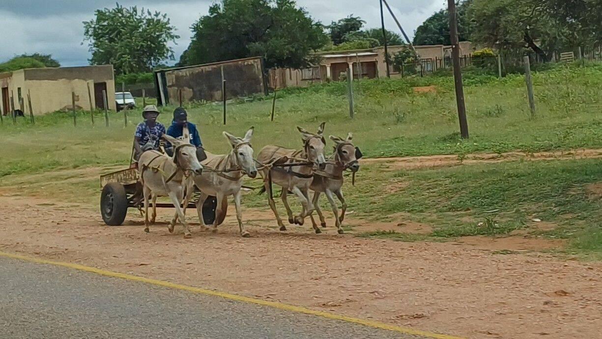 wir waren nicht alleine unterwegs
