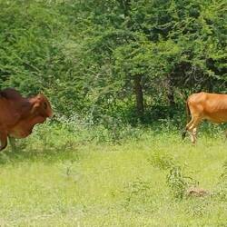 im coolen Camp mit Outdoodusche
