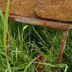 die Hühner haben hier ihre Eier gelegt