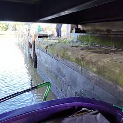 Vicky needed to crawl out under the bridge