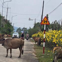 Ran into some traffic