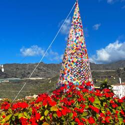 Von weitem nur eine bunte Weihnachtsdeko ...