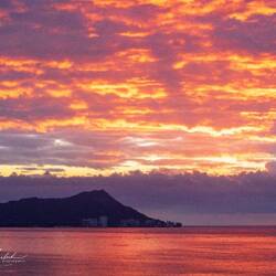 The Naturalist on the ship this year is Richard Lovelock. I will be sharing his photos