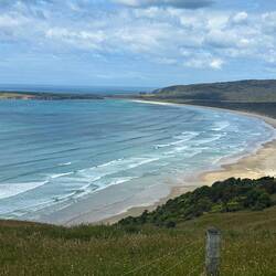 ...mit Aussicht auf die Tautuku Bay
