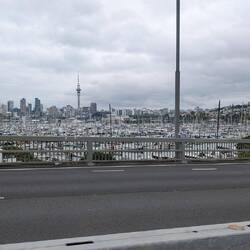 Back in Auckland - largest marina I've ever seen