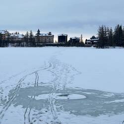 Some took the short way