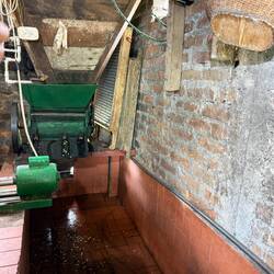 Coffee depulping station