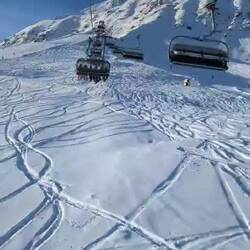 Tim am Nachmittag - Es wurde noch richtig sonnig ☀️