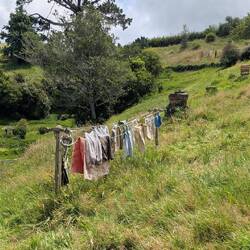 Even details like clothes on washing lines which they clean and repair regularly.