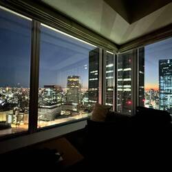 Sunrise view from our corner room in Tokyo
