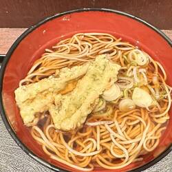 Soba noodles with tempura fish - yum!