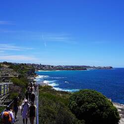 Coogee to Bondi