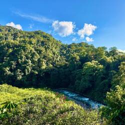 Ausblick auf den Rio Pacuare