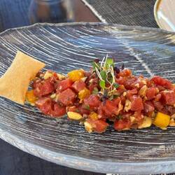 Vorspeise ein köstliches Thunfisch Tatar