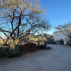 Some more of the view around Alain's home.