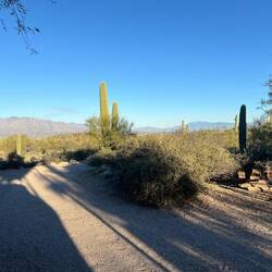 Our view from Alain's (another one of my boating buddies) place.