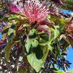 Wieder ein ereignisreicher beglückender Tag 🥰