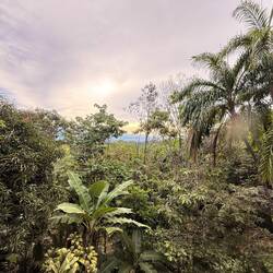 Just after sunrise in Quepos ...