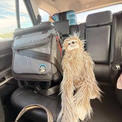 Priscilla is on fish duty!