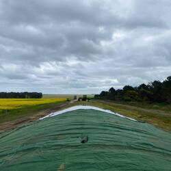 Silage in the making 🌱