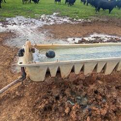 Wassertröge sauber machen 🧼