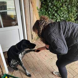 Neue Bekanntschaften wurden geschlossen 🐶