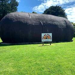 This is how the big potato used to look