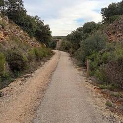 🐕‍🦺🚶‍♂️