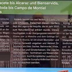 🙋‍♂️🐕‍🦺🙋‍♀️