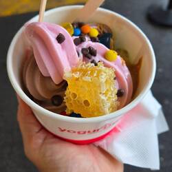 Chunk of Australian honey. 🍯