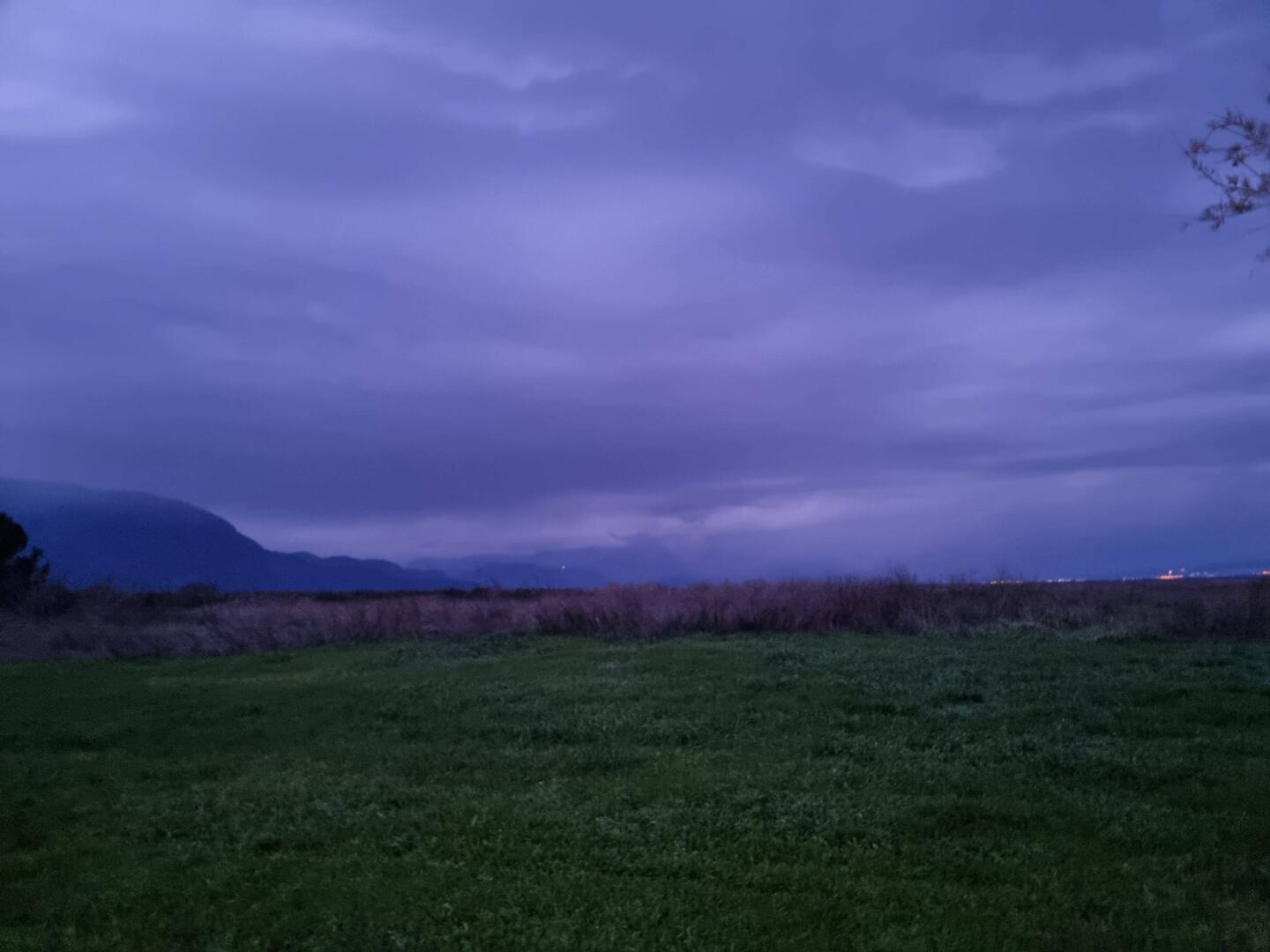 Auch heute wollte Nara sehr früh raus.
