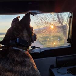 Heute in der Fernsehprogramm: "Naturdokumentation: Sonnenaufgang über den Thermopylen"