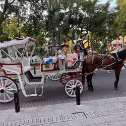 Parque de Santa Lucia