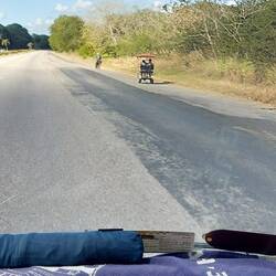 Mutig auf der Autobahn unterwegs