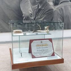 Museum des Revolutionärs Che Guevara, der Kuba befreite.