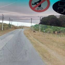 In unserem Bus 🤣🤣🤣