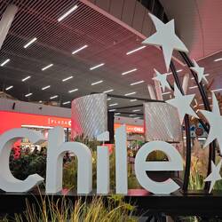 Adiós, Chile. Wir kehren gefüllt mit Eindrücken zurück.