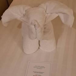 A towel critter was waiting for us on our return to the room along w/ a nice note from the crew.