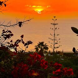 jetzt war schon eher Zeit für ein Glas Wein