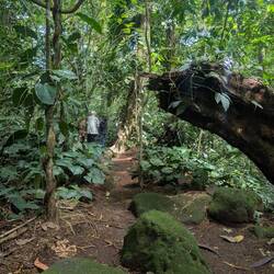 Ab durch den Regenwald