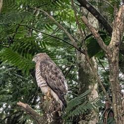 Dann kam er und schlagartig war Ruhe