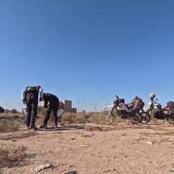 One of our Road Side Specials. Neighbors and dogs welcomed