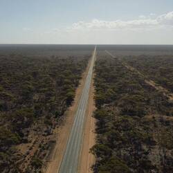 Longest straight road