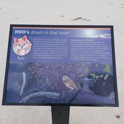 Ne Eule die verlassene Erdbauten übernimmt und Klapperschlangen nachmacht.