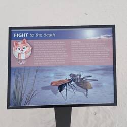 Was für den nächsten Alptraum.