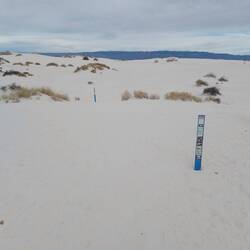 Immer schön von Pfosten zu Pfosten damit man sich nicht verirrt.