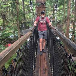 Redwoods Treewalk