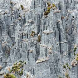 Zinnen über Zinnen - wunderschön 🤩