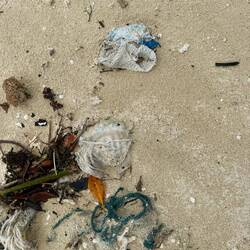 Disposable nappies from across the sea! 🤢