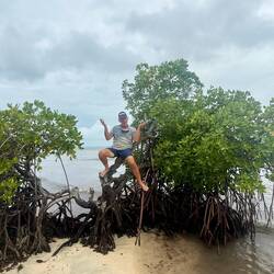 Dale on his perch. Don't slip! Pointy branch below!
